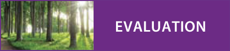 Evaluation Module