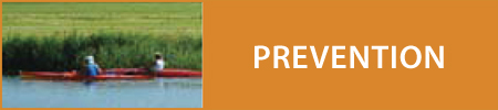 prev_title Prevention Module