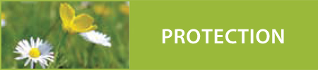 prot_title Protection Module